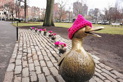 Why Are People Wearing Pink Hats At Marches This Weekend