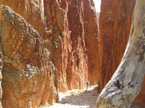 Macdonnell Ranges Standley Chasm Pingshanghai Flickr