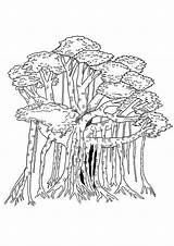 Banyan Trees Arvore Parentune sketch template