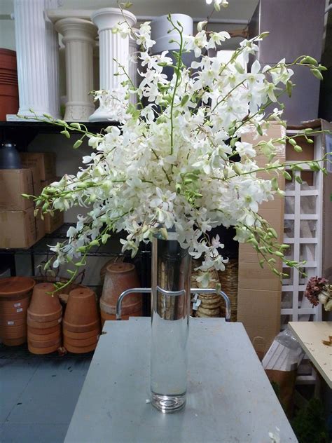 White Dendrobium Orchid Spray Resting Atop A Tall Vase To View Our Entire Selection Please