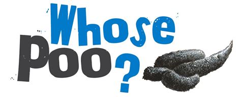 Can You Match The Poo With The Animal That Did It Try Our Fun Game