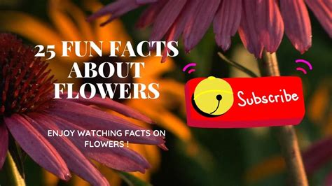 25 Fun Facts About Flowers Gambaran