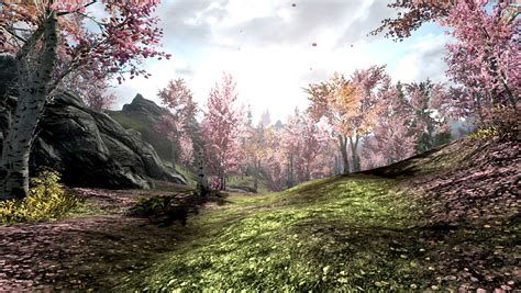 Aspens To Cherry Blossoms At Skyrim Nexus Mods And Community