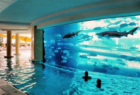 11 Most Beautiful Swimming Pools You Have Ever Seen Architecture