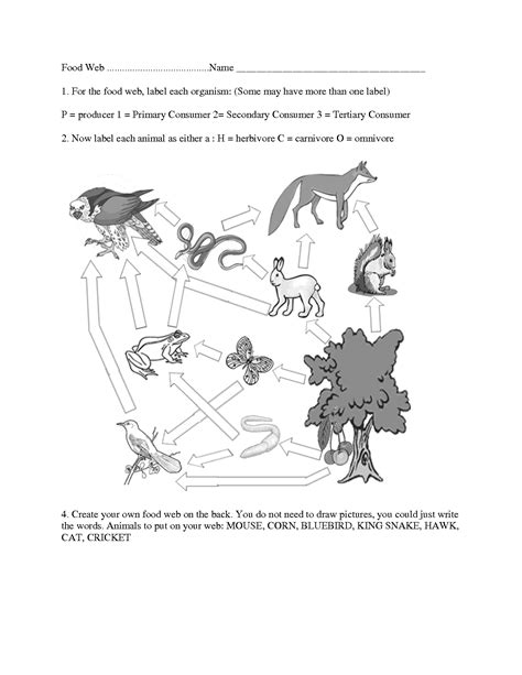 Plants that make seed and don't make seed. 14 Best Images of Make A Food Web Worksheet - Food Web ...