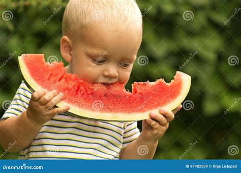 有金发的滑稽的矮小的小孩男孩吃西瓜的在夏天庭院里 品尝健康快餐的孩子 孩子的健康食物 库存图片 图片 包括有 品尝健康快餐的孩子 孩子的