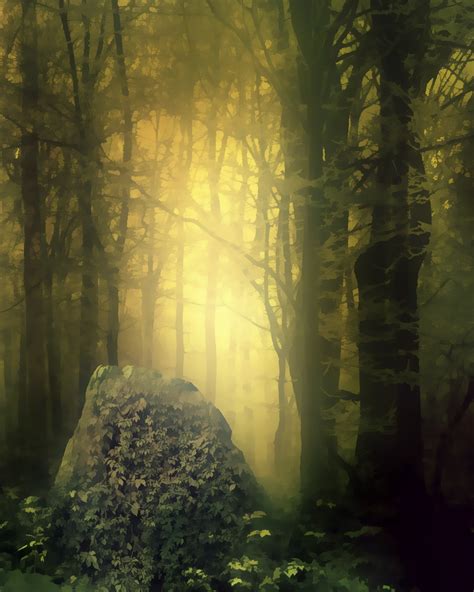 Forest Fantasy 10 Free Stock Photo Public Domain Pictures