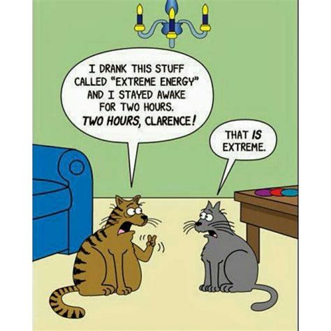 Pin By Kimberly On Cattin Around Cat Jokes Cartoon Jokes Funny