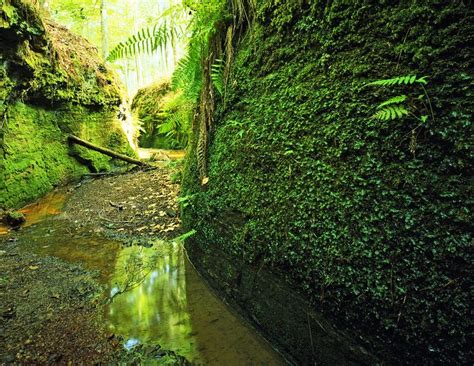 Harborlight is centrally located on the texas side of toledo bend in hemphill, texas and is convenient to many attractions in texas and louisiana including spectacular. Colerow Creek Canyon, Sabine National Forest, Texas (photo ...
