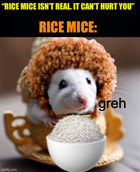 Rice Mice Imgflip