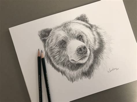 Original Bear Pencil Drawing Nicolae Art Artist Nicole Smith Etsy In