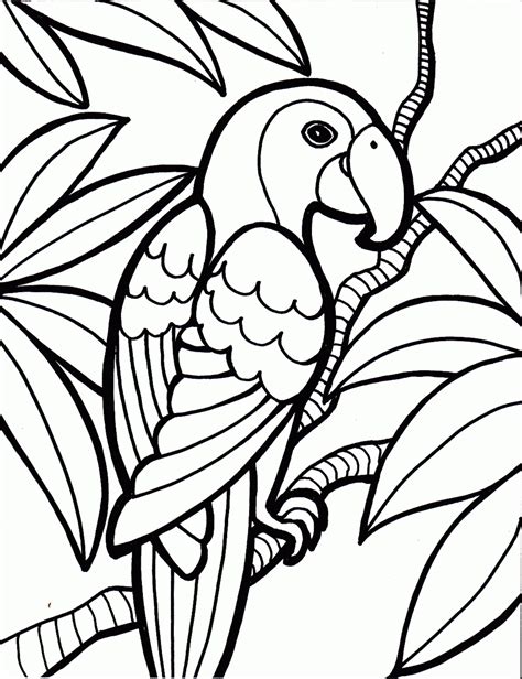 Coloring Now » Blog Archive » Bird Coloring Pages | Animal coloring