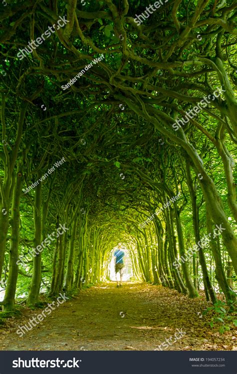 Man Walking Towards Light Green Tunnel Stock Photo