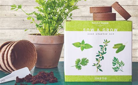 Natures Blossom Herb Garden Kit 5 Herbs To Grow From