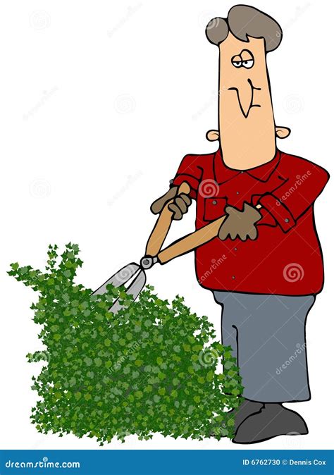 Man Trimming A Hedge Stock Illustration Illustration Of Gardener 6762730