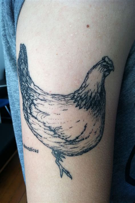 Realistic Chicken Tattoo J Tattoo Club Tattoo Wing Tattoo Piercing