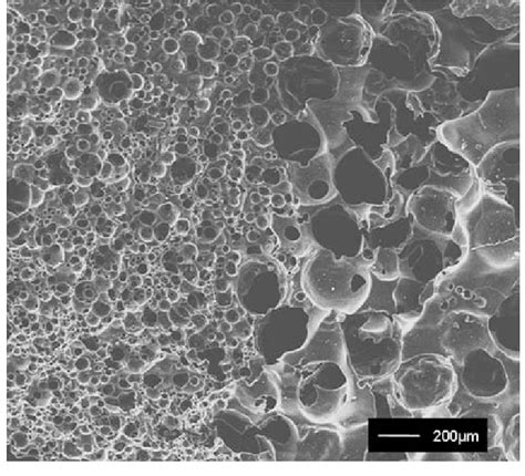 Sem Micrograph Of Stepwise Pore Size Gradient Hydrogel Prepared With