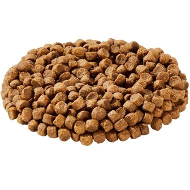 As of 2020, diamond pet foods was the no. Diamond Puppy Dry Food (40 lb) | Healthypets