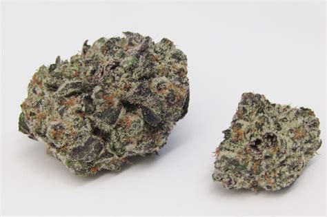 Koko Puffs Why Colorado Tokers Love This Strain Westword