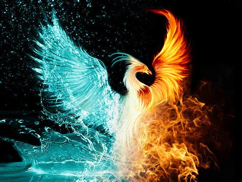An Image Of A Fire Bird With The Words I Was Born To Rise Above It