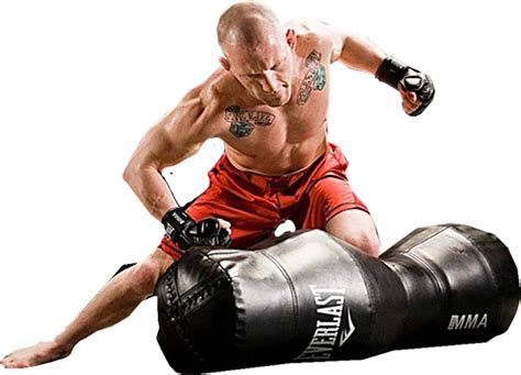 Mixed Martial Arts Png Mma Png Transparent Image Download Size 567x409px