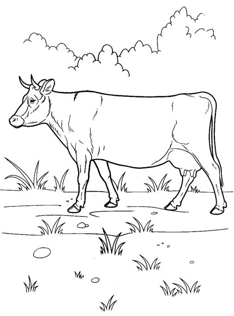 Dibujo Para Colorear Vaca En Un Paseo