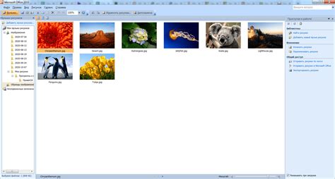 Microsoft Picture Manager скачать Microsoft Office Picture Manager