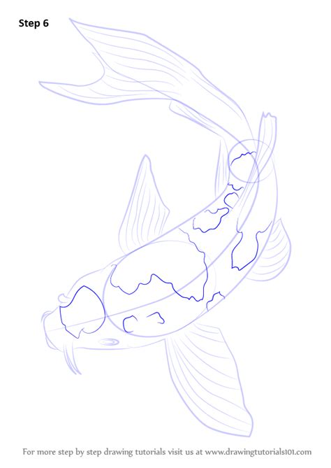Step By Step How To Draw A Koi Fish