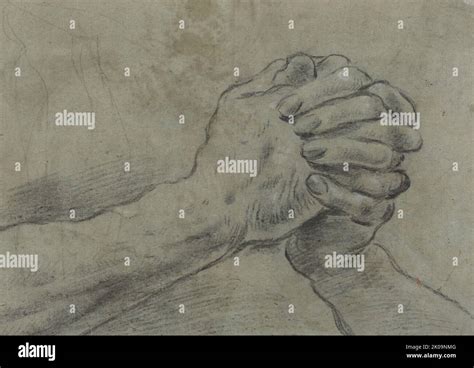 Hand Anatomy Historical Drawings Hi Res Stock Photography And Images