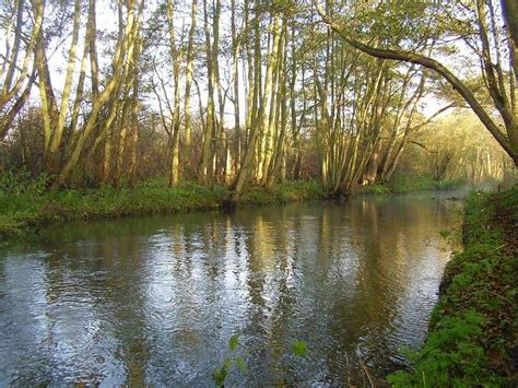 Conservation Project To Return Norfolk Chalk Stream To Former Glories
