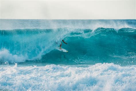 Body Glove Hawaii Drink The Aloha Alliance Wakeboard