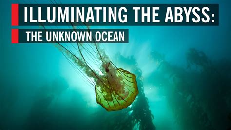 Illuminating The Abyss The Unknown Ocean Youtube