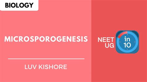 Microsporogenesis Neet Biology Neet Ug In 10 Youtube