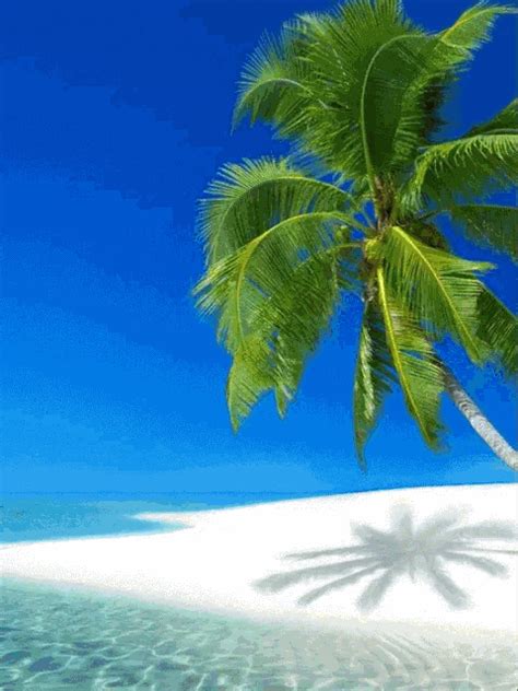 Vacation  Beautiful Landscapes Tropical Beaches Scenery