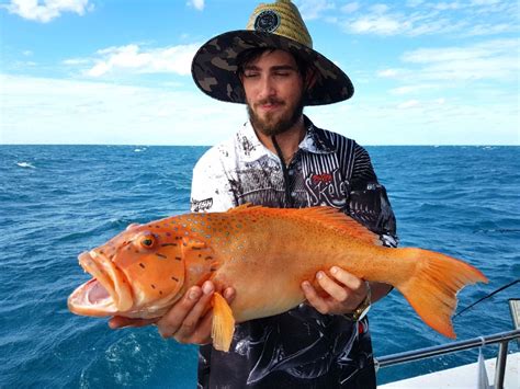 Shared Charters Cairns Reef Fishing