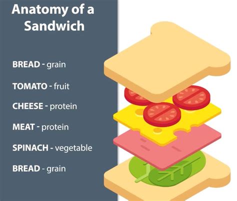 All The Sandwich Ingredients Reimagine