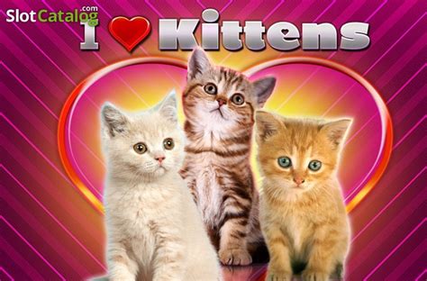 I Love Kittens Slot ᐈ Review Where To Play