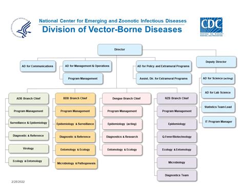 Division Of Vector Borne Diseases Organizational Chart Division Of