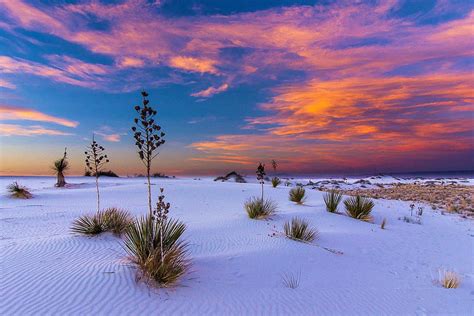 New Mexico Sunset Clouds Sky Desert Usa California Plants Colors