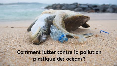 Lutter Contre La Pollution Des Mers Et Des Oc Ans Par Les D Chets The