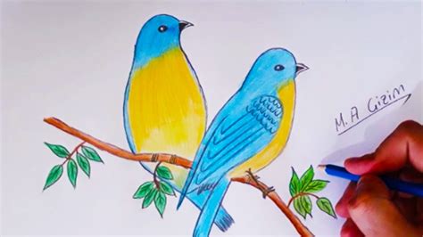 Kuş Çizimihow To Draw Eastern Bluebirds Step By Step Youtube