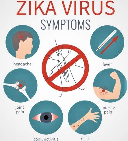 The Health Hub Zika Virus