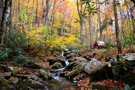 Fall Foliage In The Smoky Mountains My Bear Foot Cabins