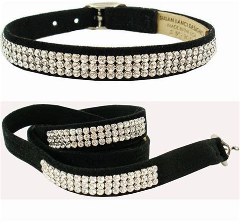 Show off your pretty pooch in designer dog collars that will make him or her look like royalty. Rules of the Jungle: Why do you need designer dog collars