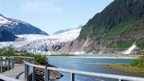 Juneau City And Mendenhall Glacier Tour By Coach