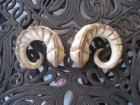 A Lovely Pair Of Succubus Horns A Succubis Tale