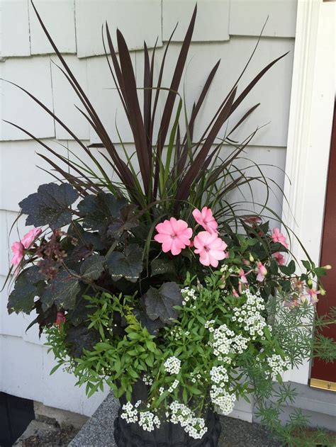 In 1932, the department hired jac gubbels, a landscape architect, to maintain, preserve and encourage wildflowers and other native plants along. Shade loving summer urn featuring heuchera, impatiens ...
