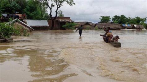 225 Lives Lost Due To Heavy Rains And Flood In Madhya Pradesh