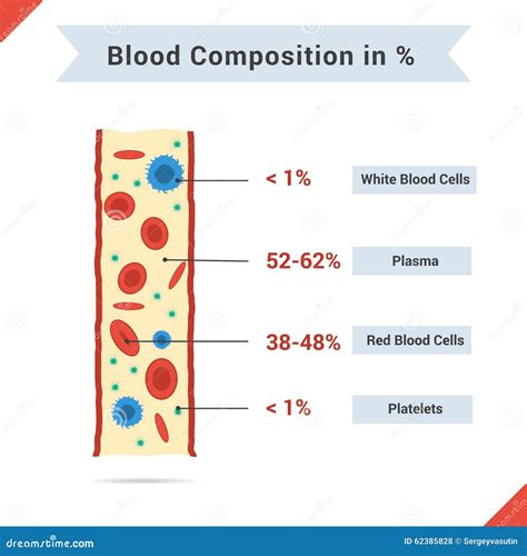 Composition Of Whole Blood Stock Vector Illustration Of Laboratory