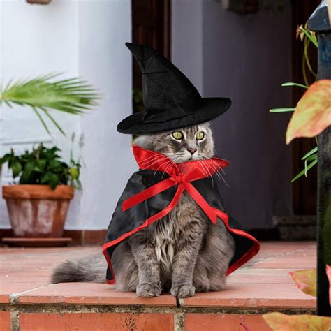 Vampire Cape And Hat Cat Costume Best Costumes For Cats Popsugar Uk